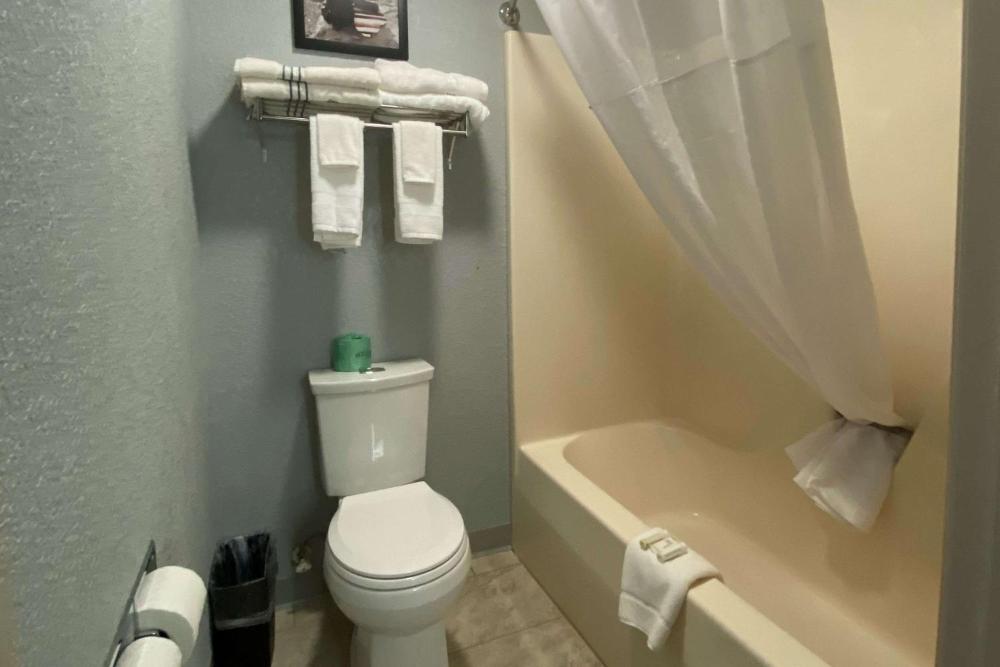 Deluxe King Suite - Non-Smoking interior